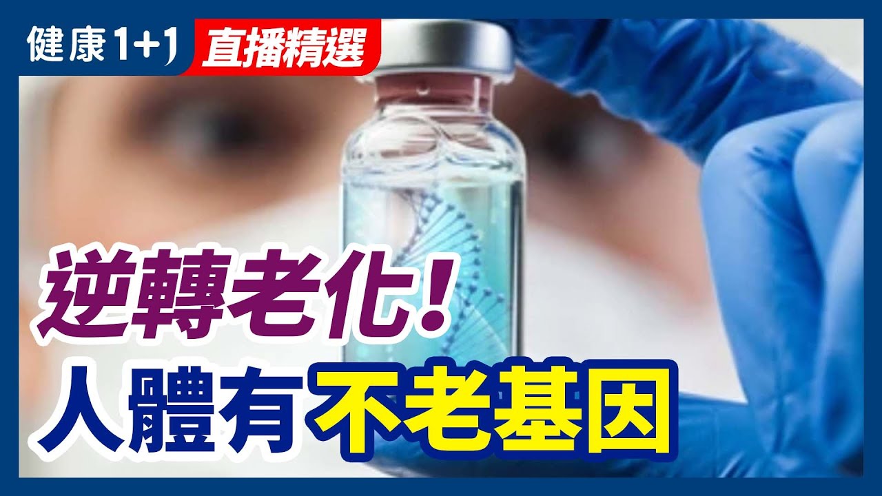 [ID: wLvpMrqoQ6A] Youtube Automatic