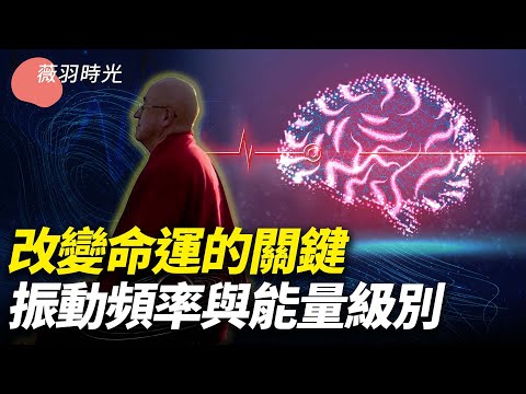 私密：[ID: teL29Bu7cso] Youtube Automatic