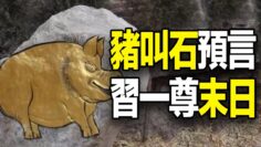 [ID: 8h3O7OA6m30] Youtube Automatic