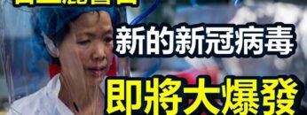 [ID: gK8F4Ak6yh4] Youtube Automatic