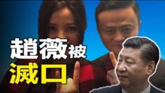 [ID: j4rkhx6mO5k] Youtube Automatic