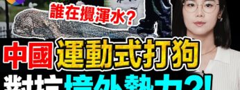 [ID: uCfSAffAlPE] Youtube Automatic