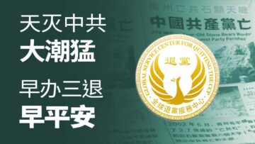 [ID: opMKbounujc] Youtube Automatic