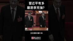 [ID: Y7RF0rRBI8s] Youtube Automatic