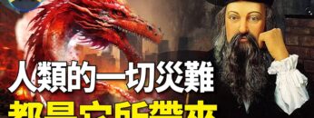 [ID: zlppUrqupvM] Youtube Automatic