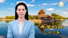 [ID: 8tTUSy03oYk] Youtube Automatic