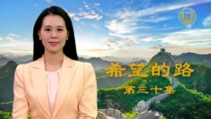 [ID: bukt4WRZFSc] Youtube Automatic