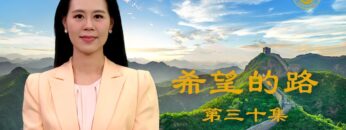 [ID: bukt4WRZFSc] Youtube Automatic