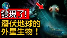 [ID: OWXflcEjO48] Youtube Automatic