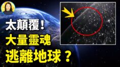 [ID: BoCicxRiuio] Youtube Automatic