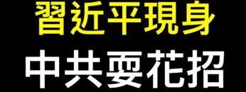 [ID: yvY6zLI6o7E] Youtube Automatic