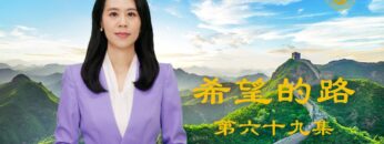 [ID: 4X-afzPBrJs] Youtube Automatic