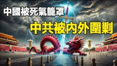 [ID: TykTOpt9Yq4] Youtube Automatic