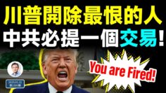 [ID: c7mUSY6Pgs8] Youtube Automatic