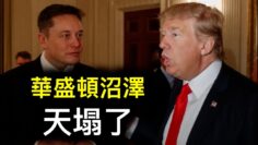 [ID: 2_3ZGXFTtLo] Youtube Automatic