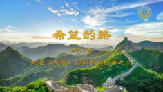 [ID: 7QZMUJ7J8_8] Youtube Automatic