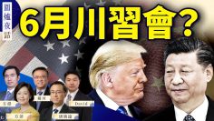 [ID: pU2J4UHPbC4] Youtube Automatic