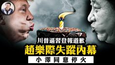 私密：[ID: XBUdw906iAQ] Youtube Automatic