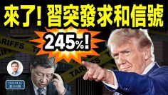 [ID: el5-v11-csU] Youtube Automatic