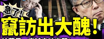 私密：[ID: RdvEkmvPNPo] Youtube Automatic