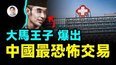 [ID: D6IfD3ubPPM] Youtube Automatic