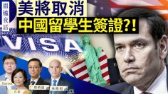 [ID: SiNSCXOQnuc] Youtube Automatic