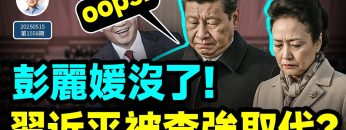 [ID: WrDNyWTHYLA] Youtube Automatic