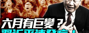 [ID: E9hwY-Q3-GU] Youtube Automatic