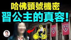 [ID: m2TR49v_PHM] Youtube Automatic