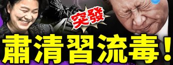 [ID: 5j82t1dtV-Y] Youtube Automatic