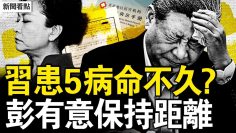 [ID: 5oy8WQ14-Kc] Youtube Automatic