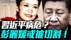 [ID: RsrkkKfrX_8] Youtube Automatic