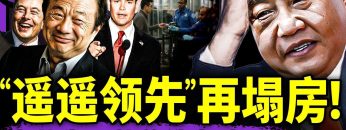 私密：[ID: tWcReCBh7ek] Youtube Automatic