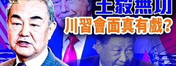 [ID: VsTUoAS9hdI] Youtube Automatic