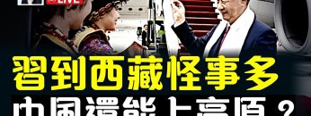 私密：[ID: MTaNlHnUA7o] Youtube Automatic