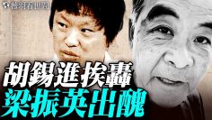 [ID: NvkrVd55Pwk] Youtube Automatic