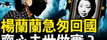 [ID: wyr0nkwTFYE] Youtube Automatic