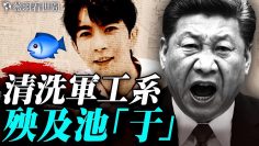 [ID: 8jCiyQk8dwQ] Youtube Automatic