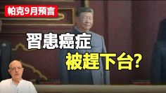 [ID: bx84IgbWGjo] Youtube Automatic