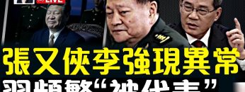 [ID: HCY3AD6XrFU] Youtube Automatic