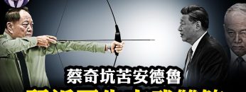 [ID: 2PYN5PxE86I] Youtube Automatic