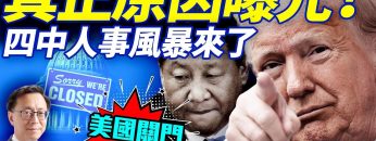 [ID: Jp83g03rVWY] Youtube Automatic