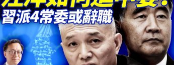 私密：[ID: upwAkXKUa8U] Youtube Automatic