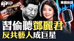 私密：[ID: 72FeRpMTdBA] Youtube Automatic