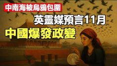 [ID: 7RCay93eb2w] Youtube Automatic