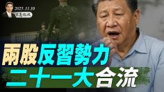 [ID: gDAvfLl8Orc] Youtube Automatic