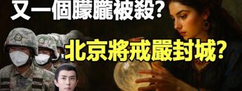 [ID: O5zmSOa5yNk] Youtube Automatic